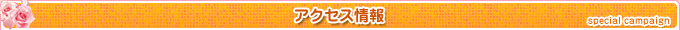 アクセス情報