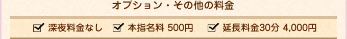 コース料金：オプション