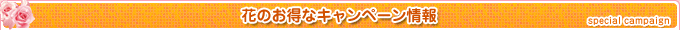 花のお得なキャンペーン